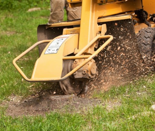 This is a photo of stump grinding being carried out in Tunbridge Wells. All works are being undertaken by T Wells Tree Surgeons